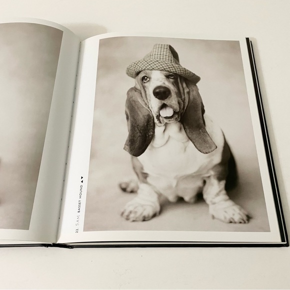 101 Salivations For The Love of Dogs Rachael Hale Book - Picture 11 of 16